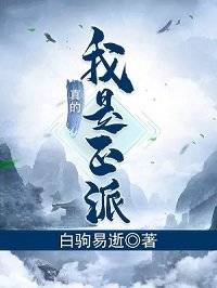 我真的是正派笔下文学